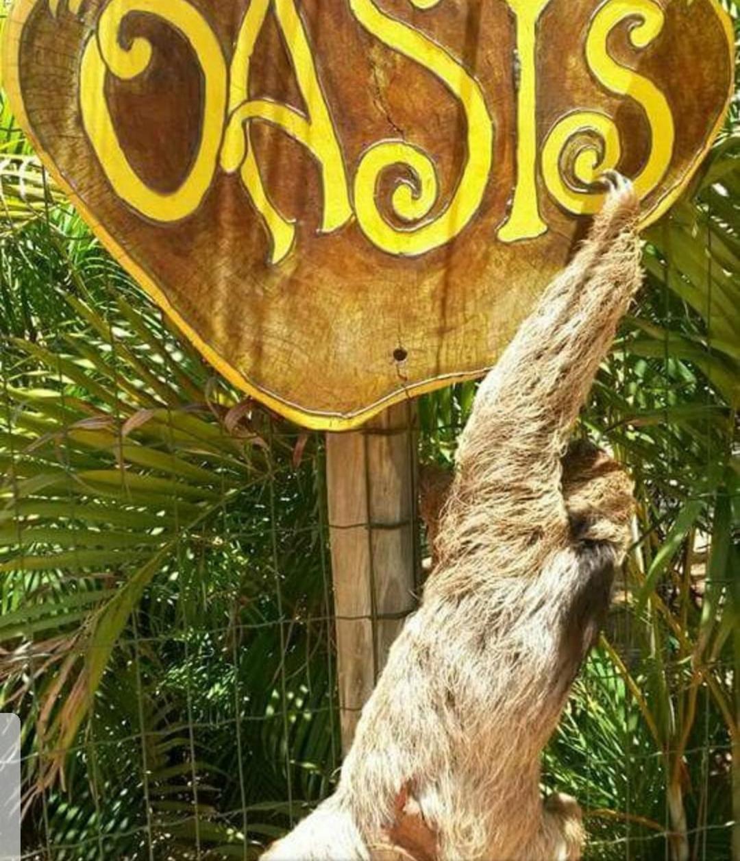 فيلا Chale "Oasis" برايا دو فورتي المظهر الخارجي الصورة
